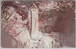 USA NEW MEXICO CARLSBAD CAVERNS NATIONAL PARK KARTE CARD POSTCARD CARTE POSTALE POSTKARTE CARTOLINA ANSICHTSKARTE - Long Beach