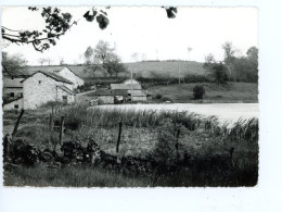 SAINT ANNE SAINT PRIEST MOULIN DE LA FORGE CARTE PHOTO 1983 - Saint Priest Taurion