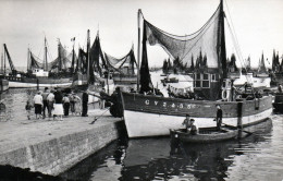 LESCONIL Le Port Pouillot N° 496 - Lesconil