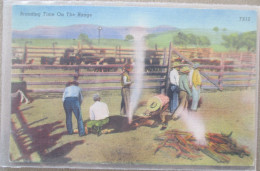 USA FAR WEST HORSE COWBOY RANCH RANGE DESERT CARD POSTCARD CARTE POSTALE POSTKARTE CARTOLINA ANSICHTSKARTE - Long Beach