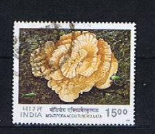 India 2001: Michel 1844 Used,  Gestempelt - Gebraucht