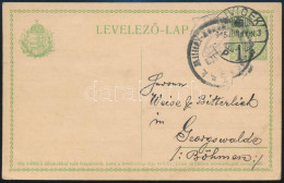 1915 - Altri & Non Classificati