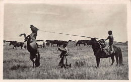 Mongolia - Horse Training - REAL PHOTO. - Mongolia