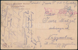 1918 Tábori Posta Képeslap Piros / Red "S.M.S RADETZKY", "K.u.K. MARINEFELDPOSTAMT / POLA" Nagyszebenbe Küldve - Autres & Non Classés