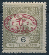 * Debrecen I. 1919 Turul 6f Bodor Vizsgálójellel (6.500) - Other & Unclassified