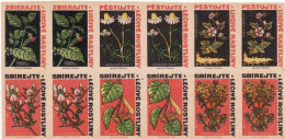 Czechoslovakia - Czechia 12 Matchbox Labels, Collect And Grow Medicinal Plants - Boites D'allumettes - Etiquettes