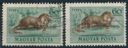 O 1953 Erdei állatok 60f Felfelé Tolódott Barna Színnyomat + Támpéldány - Autres & Non Classés
