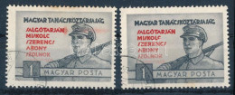 O 1954 Magyar Tanácsköztársaság 1Ft Piros Rákelcsíkkal + Támpéldány - Sonstige & Ohne Zuordnung