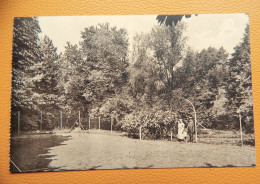 BASECLES  -  Château Dauderni - Jeu De Tennis - Belöil