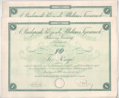 Budapest 1926. "Budapesti Központi Általános Tejcsarnok Részvénytársaság" Részvénye 10P-ről Szelvényekkel, Szárazpecsétt - Unclassified