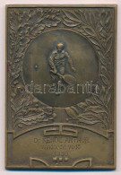 1936. "Dr. Kende Arthur Vándordíj Védő" Bronz Díjplakett (81x56mm) T:XF - Unclassified