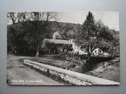 GROS FAYS - Le Vieux Moulin - Bievre