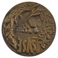 DN "CSVSE (Csongrádi Vízügyi Sportegyesület)" Egyoldalas, öntött Bronz Plakett (~69-70mm) T:2 - Unclassified