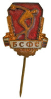 Bulgária ~1960-1970. "BSFS (Bolgár Testkultúra és Sport Szövetség)" Műgyantás Bronz Sport Kitűző (~24x18mm) T:XF Bulgari - Non Classificati