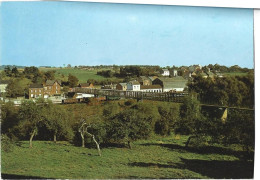 BERZEE - Hôtel Notre-Dame De Grâce ( Près De L'Eglise ) La Passerelle - Walcourt