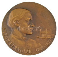 Csehszlovákia 1983. "Anton Bernolák 1762-1813 / Szlovák Numizmatikai Társulat - Pozsony 1983" Bronz Emlékérem (79mm) T:A - Ohne Zuordnung