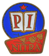 Csehszlovákia DN "Pedagógiai Intézet - Nyitra" Zománcozott Bronz Plakett (51x61mm) T:XF Czechoslovakia ND "Pedagogical I - Ohne Zuordnung