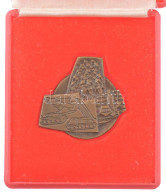 ~1970. "Magyar Néphadsereg" Fegyvernemeket ábrázoló Bronz Emlékplakett Eredeti, Sérült Tokban (38x37mm) T:UNC - Sin Clasificación