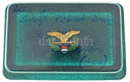 ~2000. A Magyar Honvédség Emblémáját ábrázoló Műgyantás Fém Kitűző Eredeti Műanyag Tokban (18x23mm) T:UNC - Unclassified