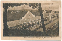 T2/T3 1924 Algyógy, Geoagiu, Gergesdorf; Sanatorul Geoagiul De Jos / Szanatórium. Emil Heiter Kiadása / Sanatorium (fl) - Ohne Zuordnung