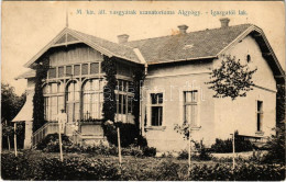 T2/T3 1915 Algyógy, Geoagiu; M. Kir. Állami Vasgyári Szanatórium Igazgatói Lak / Sanatorium Of The Iron Works (factory), - Non Classés