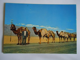 IRAN POSTCARDS  CAMELS  A CAMEL-LINE  TEHRAN - Iran