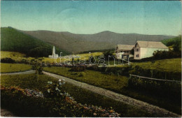 T2/T3 1924 Báznafürdő, Felsőbajom, Bad Baassen, Baiumul De Sus; Villa Connerth. Holzträger & Zammerer (EK) - Ohne Zuordnung