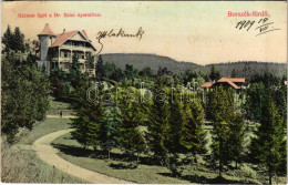 * T2/T3 1909 Borszék-fürdő, Baile Borsec; Hármas Liget A Dr. Szini Nyaralóval. Divald Károly 1929-1908. / Park And Villa - Unclassified