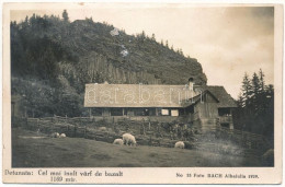 * T3 Detonáta-hegy, Detunata; Cea Mai Mare Stanca De Bazalt Din Romania, 1169 Mtr., Foto Bach 1929 No. 55 / Románia Legn - Zonder Classificatie