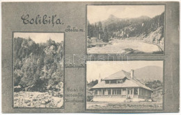 T2/T3 1927 Kolibica, Colibita; Valea Repede, Casa De Recreatie / Kurhaus / Völgy, Gyógyház / Valley, Spa (EK) - Non Classés