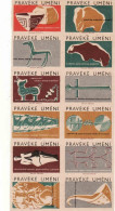 Czechoslovakia - Czechia 12 Matchbox Labels, Prehistoric Art - Paleopit, Hallstatt Bronze Age, Neolit,.. - Boites D'allumettes - Etiquettes