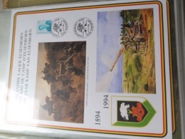 Souvenir Belgique Belgie 2535 ( 1994 ) War Camp Kamp Militaire  Gestempelt Oblitéré Elsenborn Perfect - Commemorative Documents