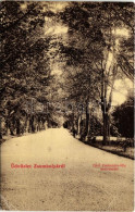 T3 1907 Zsombolya, Jimbolia; Gróf Csekonics Féle Kastély Kert Részlete. W.L. 430. / Castle Garden, Park (EB) - Non Classés