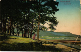 T3/T4 1911 Stubnyafürdő, Túróchévíz, Stubnianske Teplice, Turcianske Teplice; Erdő / Forest (EB) - Zonder Classificatie