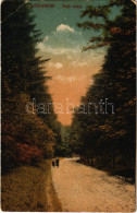 T2/T3 1918 Szliácsfürdő, Kúpele Sliac; Erdő Sétány. Molnár Vilmos Kiadása / Forest Promenade (EK) - Zonder Classificatie