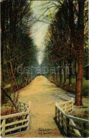 T2 1909 Szliács, Sliac; Park. Kerekes Miklós Kiadása - Zonder Classificatie