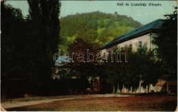 T2/T3 1914 Vihnye, Vihnyefürdő, Kúpele Vyhne; Hell és Licskóház Nyaralók. Joerges 1910. / Villa Hotels (EK) - Sin Clasificación