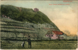 T2/T3 1909 Királyháza, Koroleve; Várhegy, Hegyi Dezső Borháza és Szőlője. Görög J. Kiadása / Wine Cellar And Vineyards ( - Ohne Zuordnung