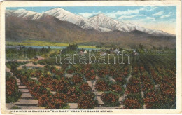 T3 1920 California, Midwinter In California, "Old Baldy" From The Orange Groves (EB) - Ohne Zuordnung