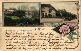 T2/T3 1906 Holoubkov, General View. Art Nouveau, Floral (EK) - Ohne Zuordnung