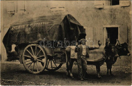 ** T1/T2 Castetnau-Camblong, Attelage De Boeufs Matabos A Castetnau / French Oxen Cart / Francia ökör Szekér - Sin Clasificación