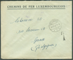 Lettre Envoyée Non Affranchie Des CHEMINS De FER LUXEMBOURGEOIS (franchise Non Valable Pour L'étranger) Obl. Dc BETTEMBO - Segnatasse