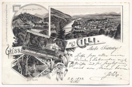 T2/T3 1894 (Vorläufer!) Celje, Cilli; Burgruine Ober-Cilli, Waldhaus Mit Dem Sannbad, Seidl Quelle / Castle Ruins, Spa,  - Ohne Zuordnung