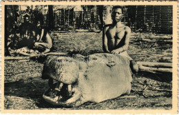 * T2/T3 Congo, Tete D'hippopotame / African Folklore, Hippopotamus Head (EK) - Sin Clasificación