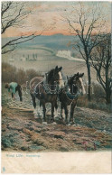 T3 1907 Rural Life. Harrowing. Raphael Tuck & Sons' "Rural Life" Series 1421. (r) - Non Classés