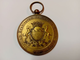 Une Médaille Belges D' Association Sportive - Profesionales / De Sociedad