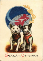 * T2/T3 Belka And Strelka, Soviet Space Dogs That Spent A Day In Space Aboard Korabl-Sputnik 2 (Sputnik 5) On 19 August  - Sin Clasificación