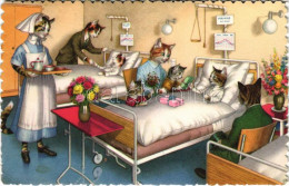 * T3 Cats In The Cat Hospital. Alfred Mainzer 4879. (ragasztónyom / Glue Marks) - Ohne Zuordnung