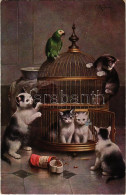 * T2/T3 Cats And Parrot. Raphael Tuck & Sons' "Oilette" Postcard No. 8657. "Playful Cats" S: Reichert (EK) - Unclassified