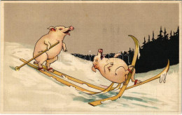 T2/T3 Pigs On Ski, Winter Sport, Humour. Special B. 3200. (EK) - Unclassified